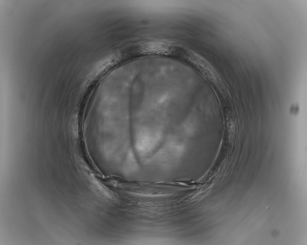 X0000096400729200802071600