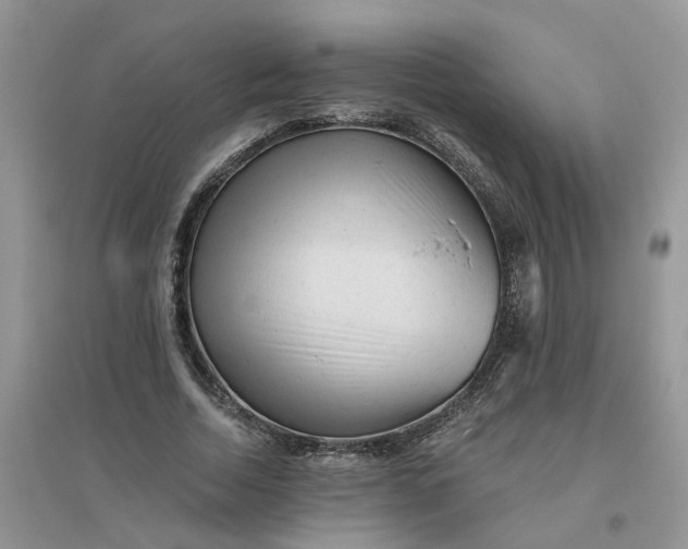 X0000096400730200802071600