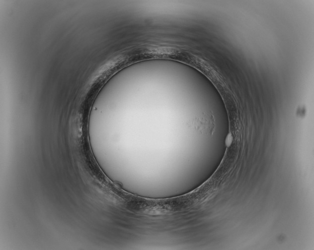 X0000096400731200802071600