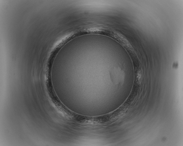 X0000096400732200802071600