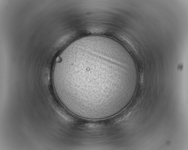 X0000096400733200802071600