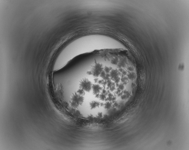 X0000096400734200802071600