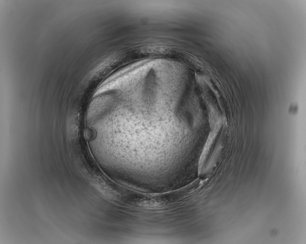 X0000096400735200802071600