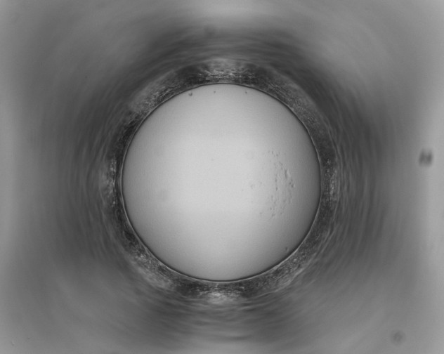 X0000096400737200802071600