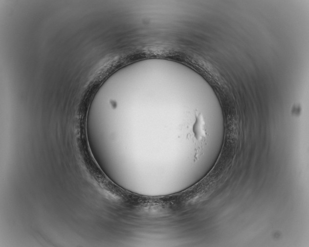 X0000096400738200802071600