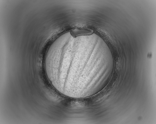 X0000096400739200802071600