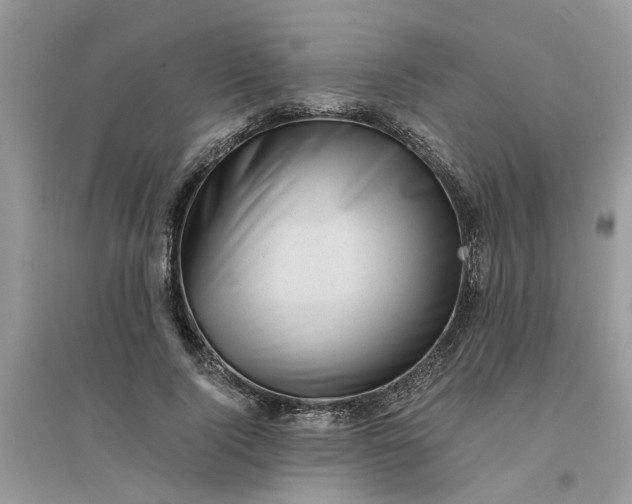 X0000096400740200802071600