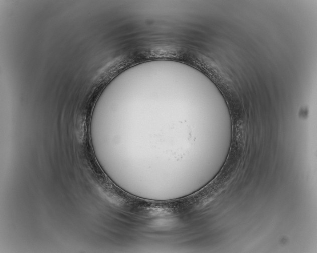 X0000096400741200802071600