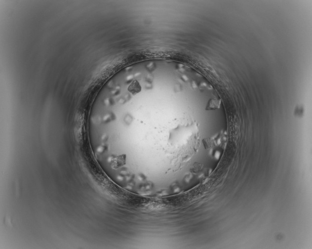 X0000096400742200802071600