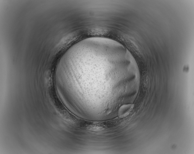 X0000096400743200802071600