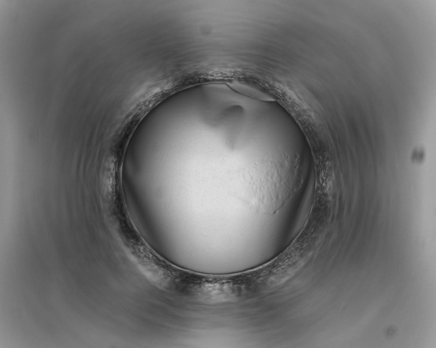 X0000096400744200802071600