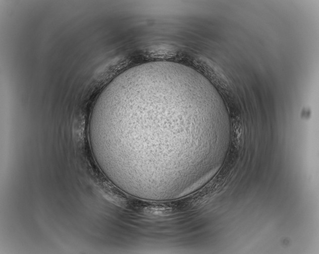 X0000096400745200802071600