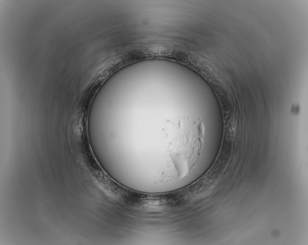 X0000096400746200802071600