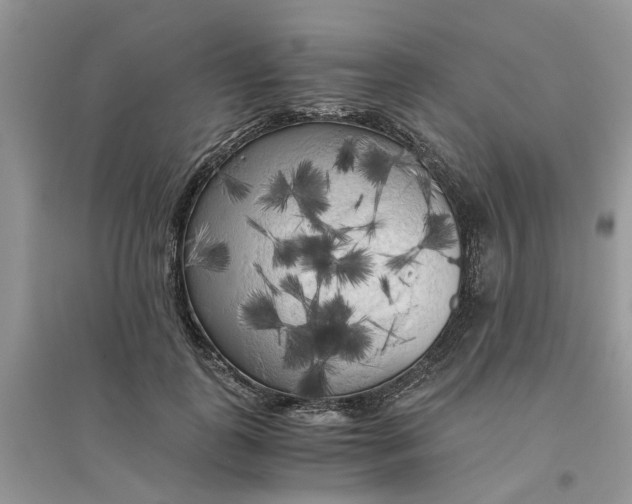 X0000096400747200802071600