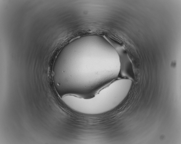 X0000096400748200802071601