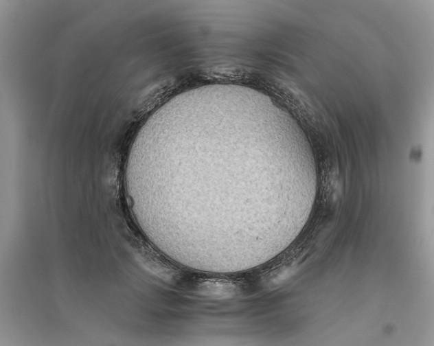 X0000096400749200802071601