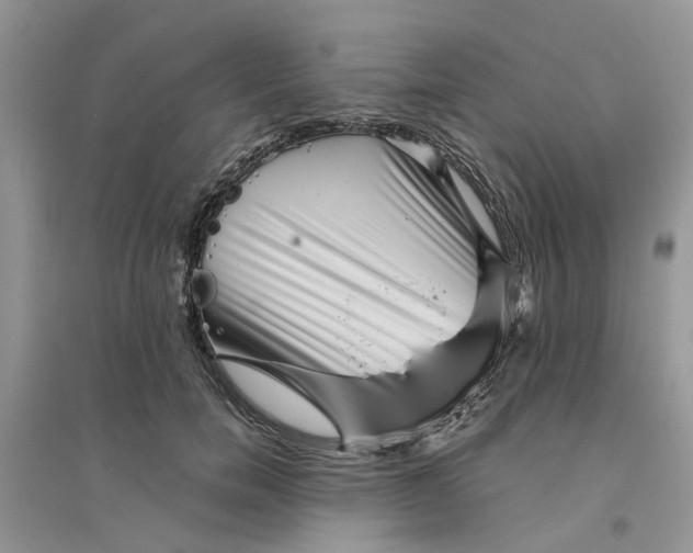 X0000096400750200802071601