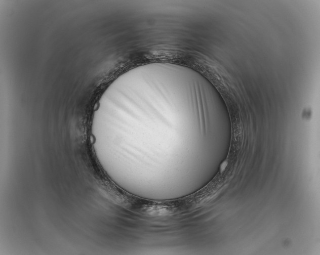 X0000096400751200802071601