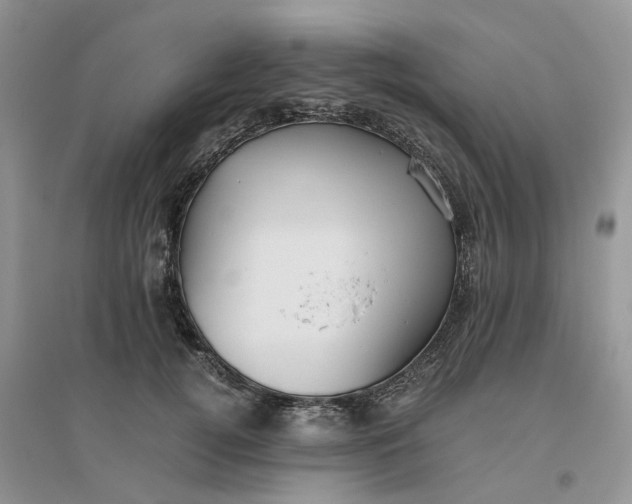 X0000096400752200802071601