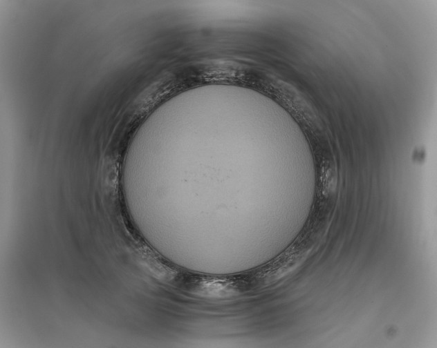 X0000096400753200802071601