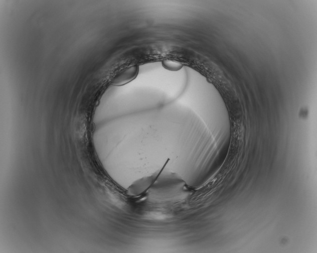 X0000096400754200802071601