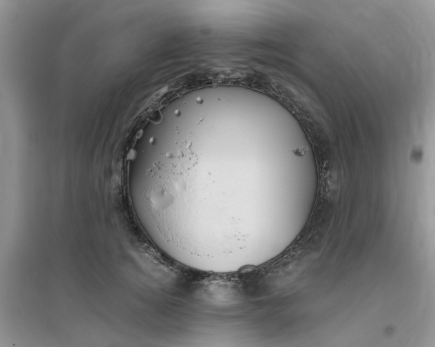 X0000096400756200802071601