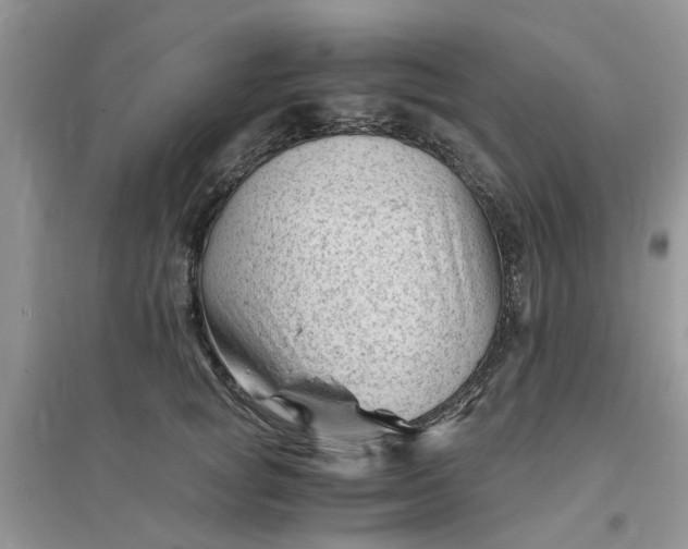 X0000096400757200802071601