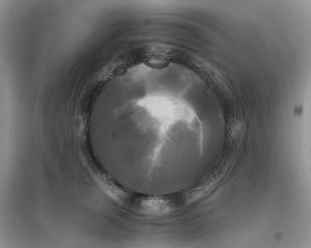 X0000096400759200802071601