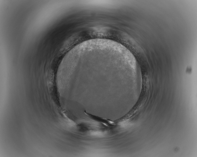 X0000096400760200802071601