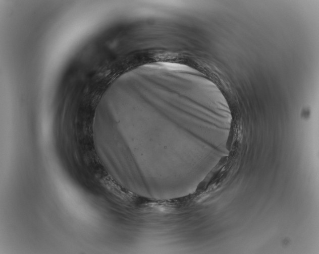 X0000096400763200802071601