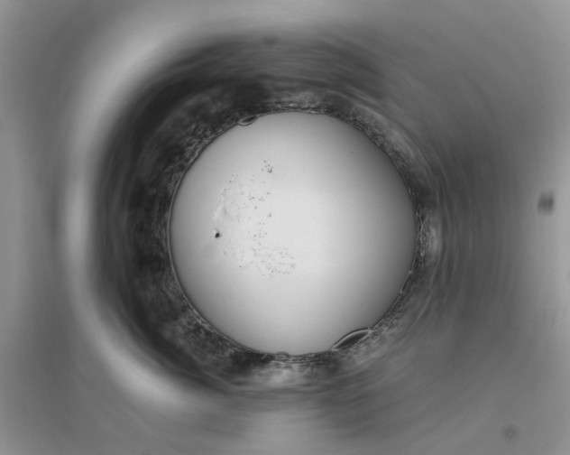 X0000096400764200802071601