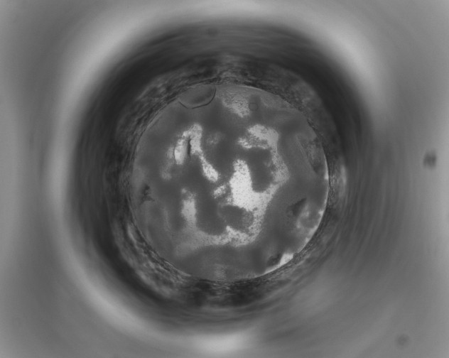 X0000096400765200802071601