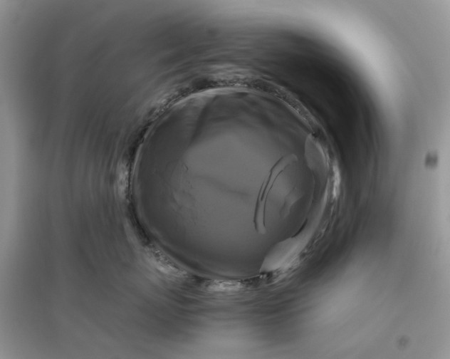 X0000096400767200802071601