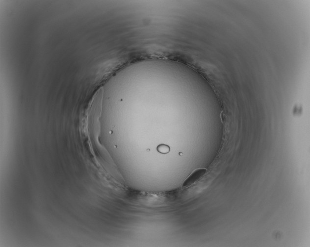 X0000096400768200802071601