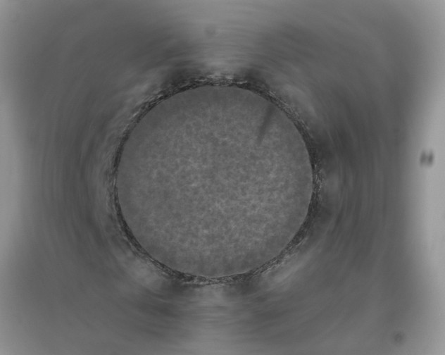 X0000096400769200802071600