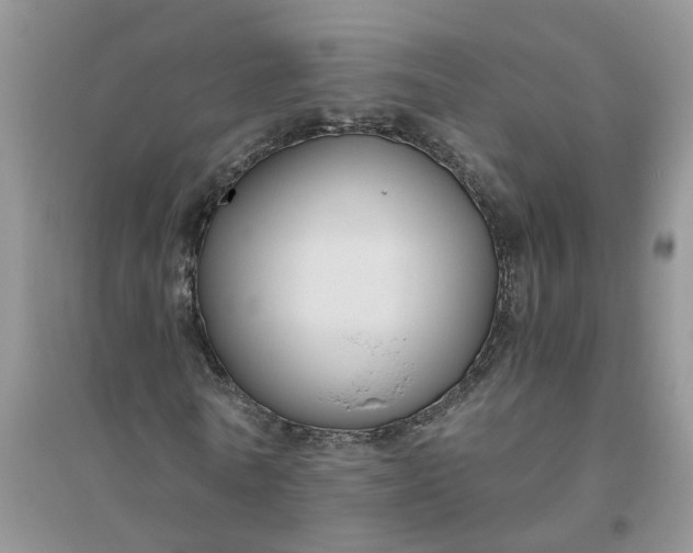 X0000096400770200802071600