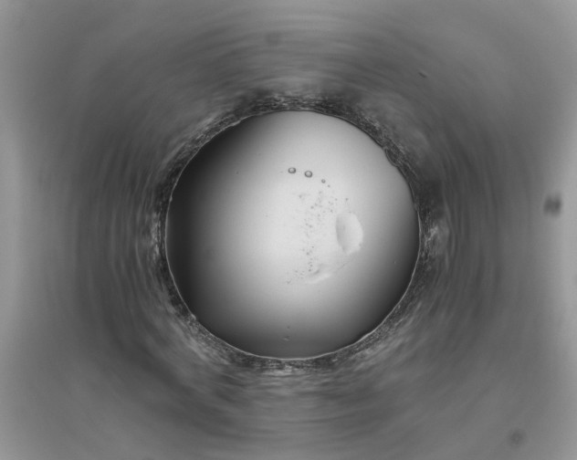 X0000096400772200802071600