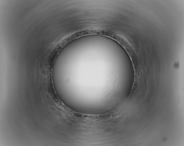 X0000096400773200802071600