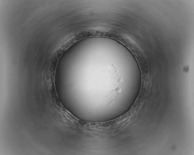 X0000096400774200802071600