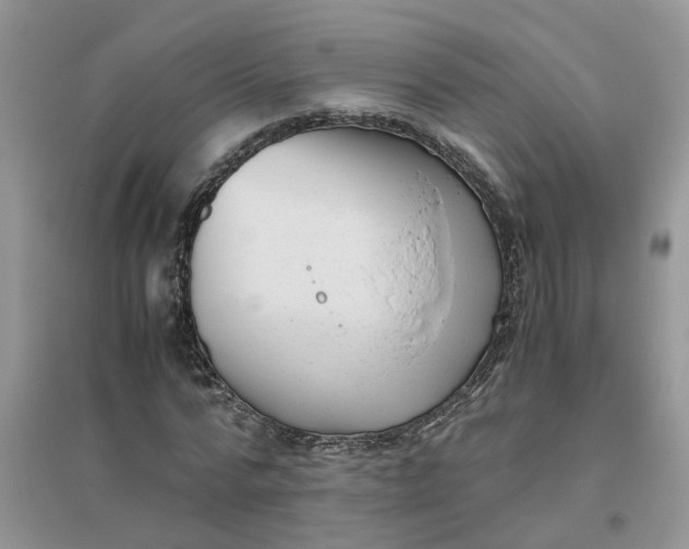 X0000096400776200802071600