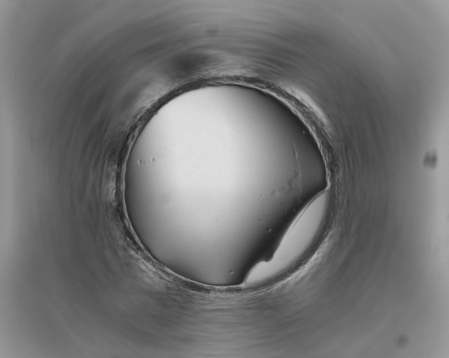 X0000096400777200802071600