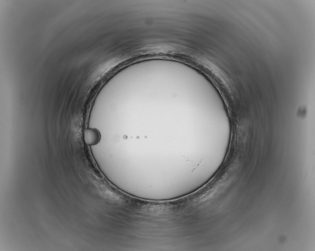 X0000096400778200802071600