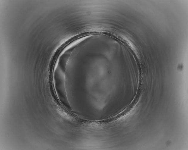 X0000096400779200802071600