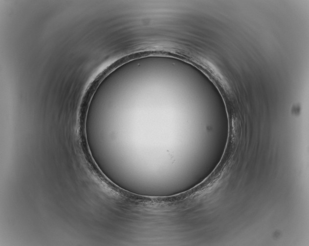 X0000096400780200802071600