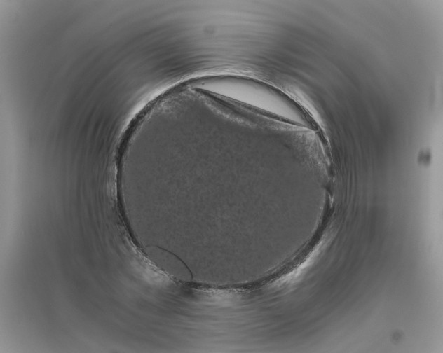 X0000096400781200802071600