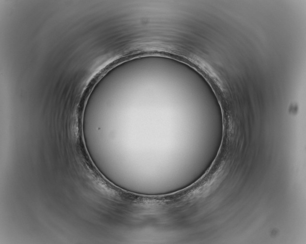 X0000096400782200802071600