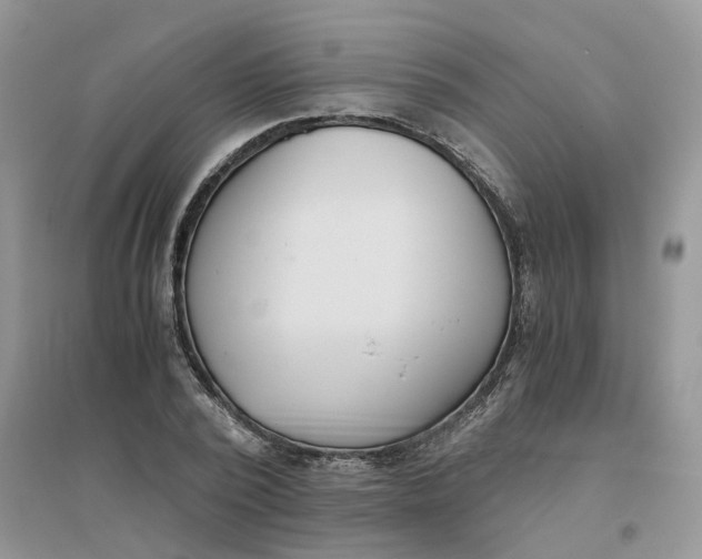 X0000096400784200802071600