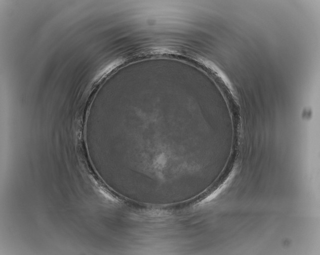 X0000096400785200802071600