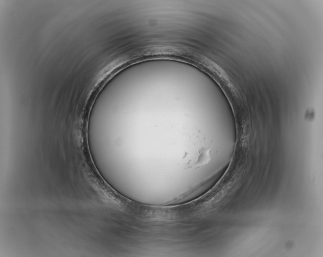 X0000096400786200802071600