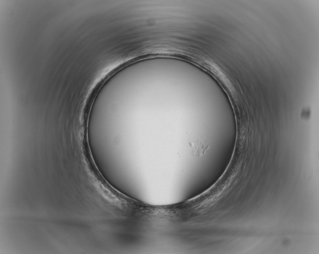 X0000096400787200802071600